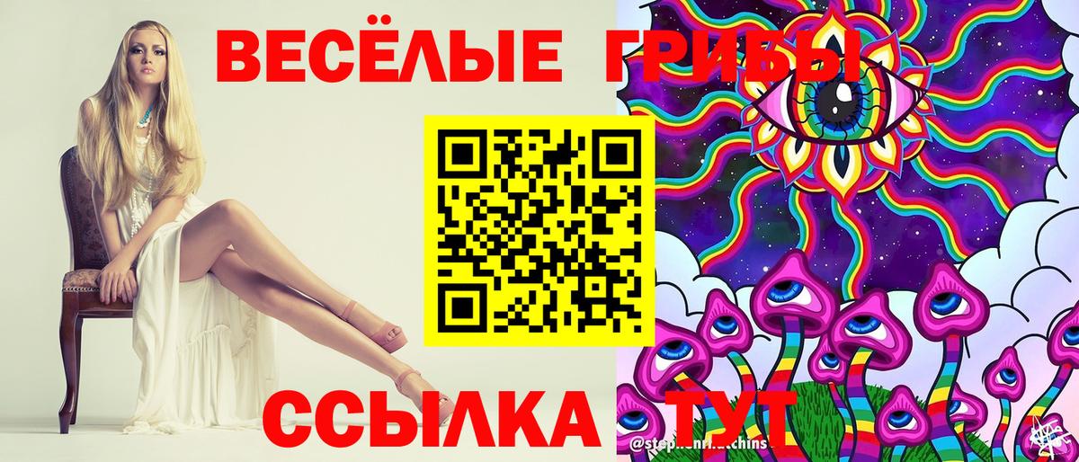 Псилоцибиновые грибы GOLDEN TEACHER Чусовой